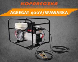 Endress EP200X na wynajem