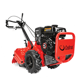 Cedrus  GL 03 PRO(2) na wynajem