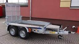 Wiola  W2 na wynajem