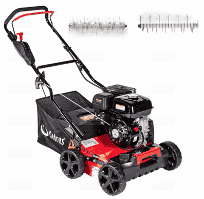 CEDRUS WR01 na wynajem