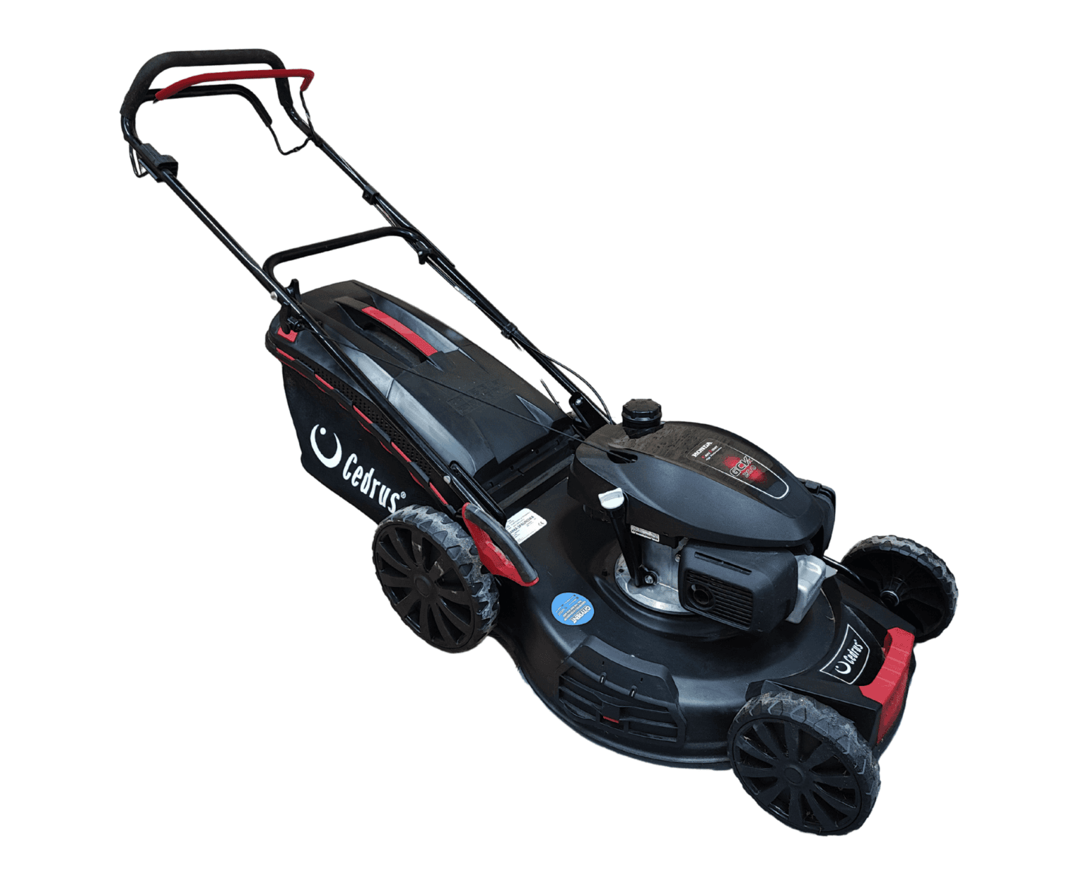 CEDRUS Kosiarka Spalinowa 56cm na wynajem