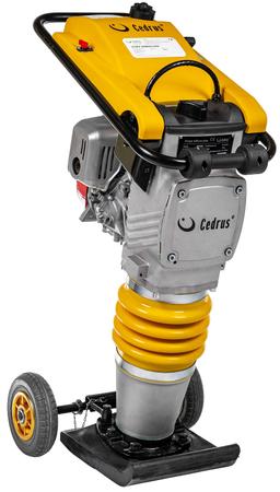 Cedrus St01 na wynajem