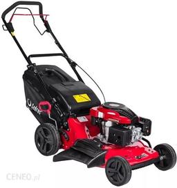 Cedrus  KCL21SDP na wynajem