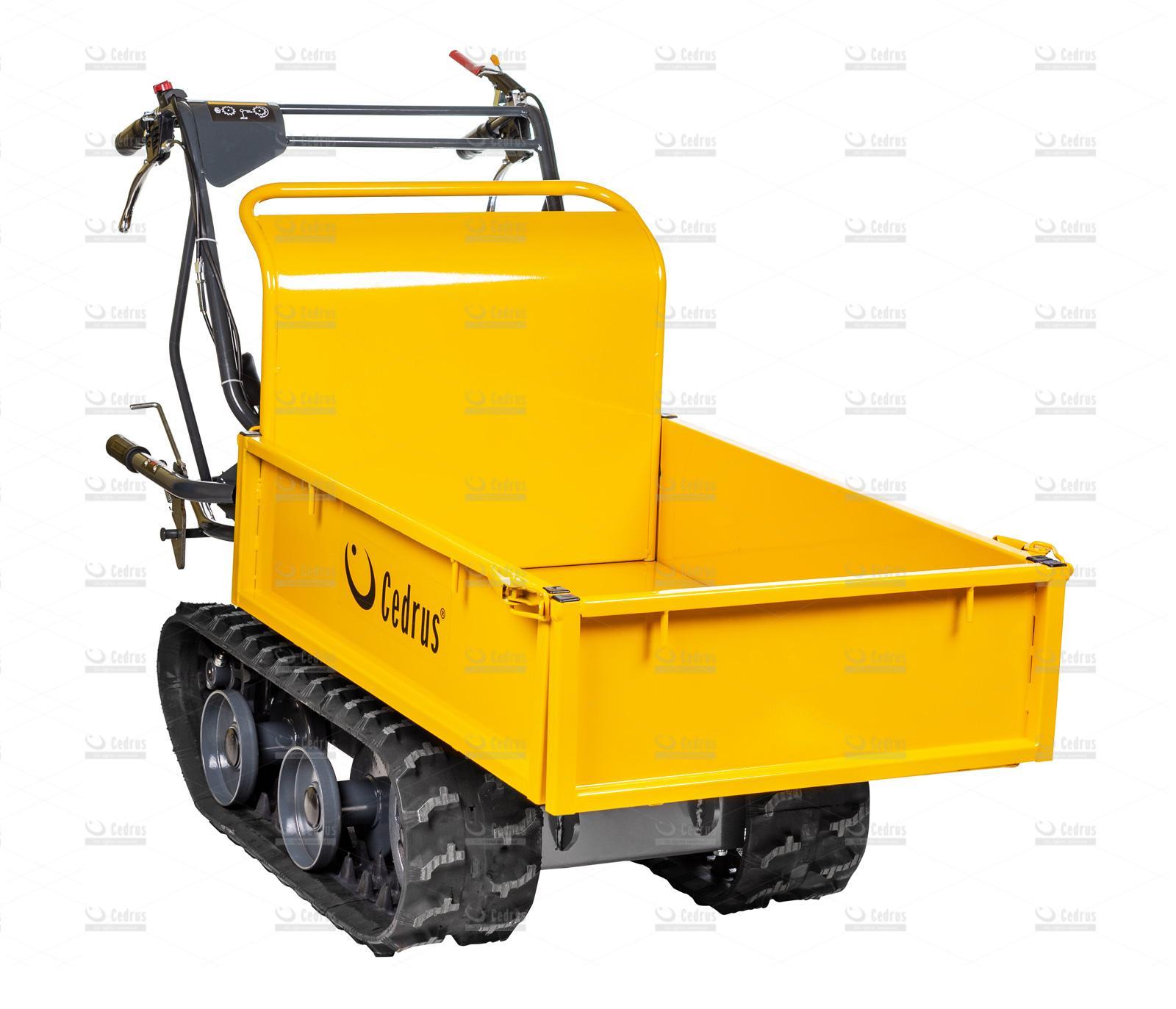 Cedrus TR300G na wynajem