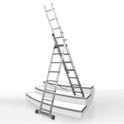 ALVE 3x11 na wynajem