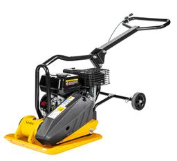 Cedrus  ZG 02  na wynajem