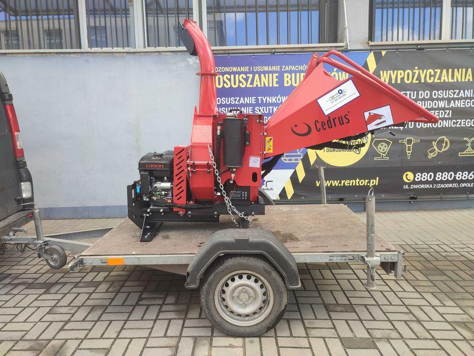 Cedrus RB05 na wynajem