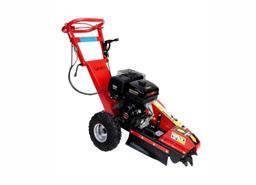 Cedrus FR01 (NA 8H LUB NA DOBY) na wynajem