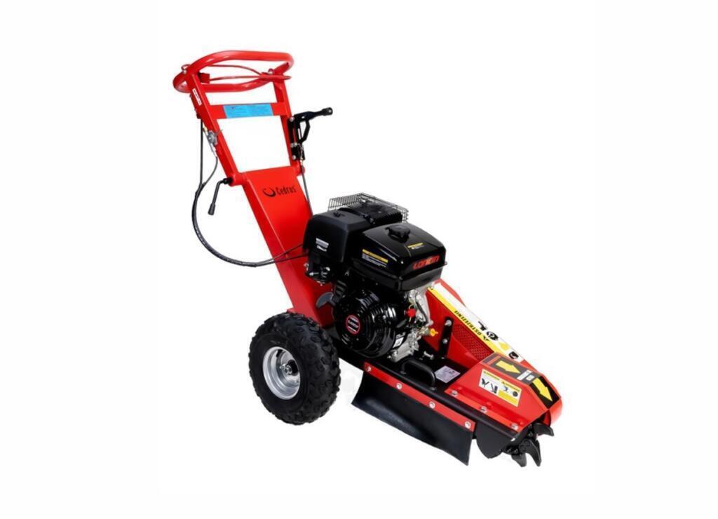 Cedrus FR01 (NA 8H LUB NA DOBY) na wynajem