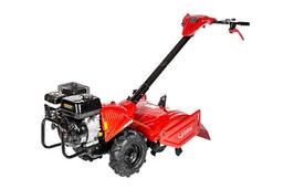 Cedrus GLX-GT65 (NA 8H LUB NA DOBY) na wynajem