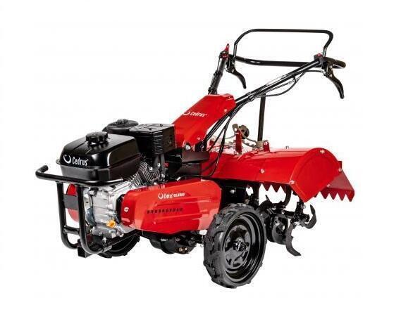 Cedrus GLX680 (NA 8H LUB NA DOBY) na wynajem