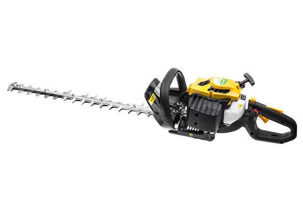 Cedrus NZ01  (NA 8H LUB NA DOBY) na wynajem