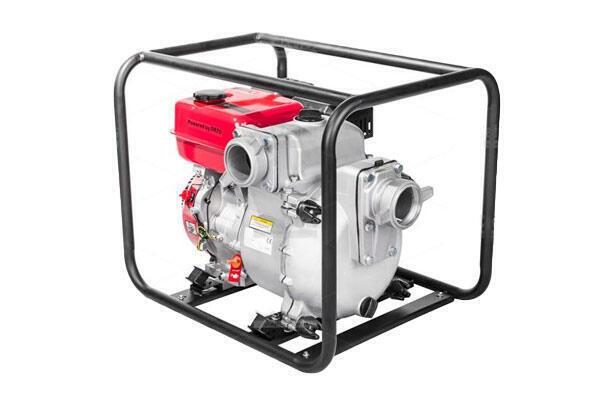 CEDRUS PS60-3  (NA 8H LUB NA DOBY) na wynajem - 1