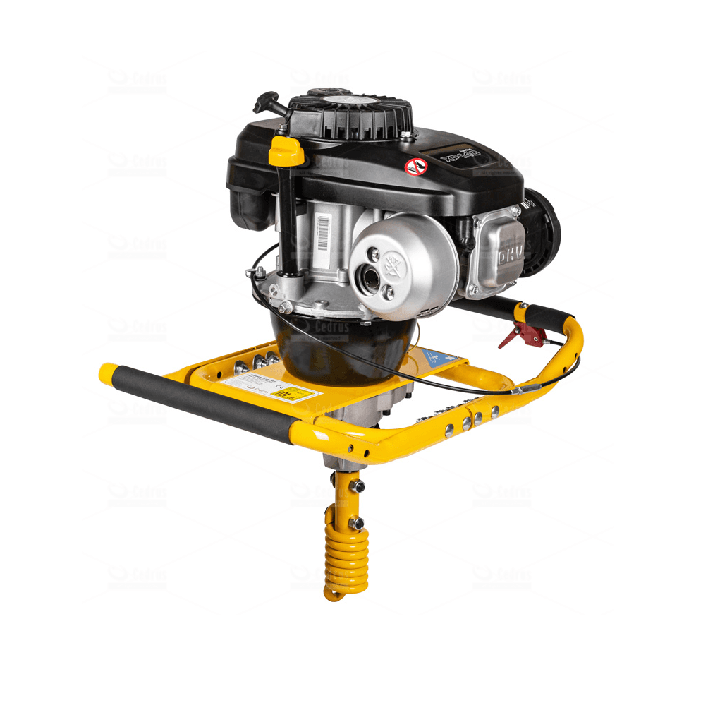 Cedrus SW02 (NA 8H LUB NA DOBY) na wynajem - 1