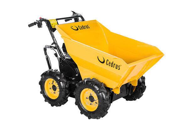 Cedrus TR300 na wynajem