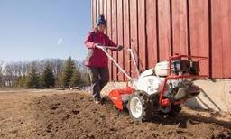 Orec  Sf600 na wynajem