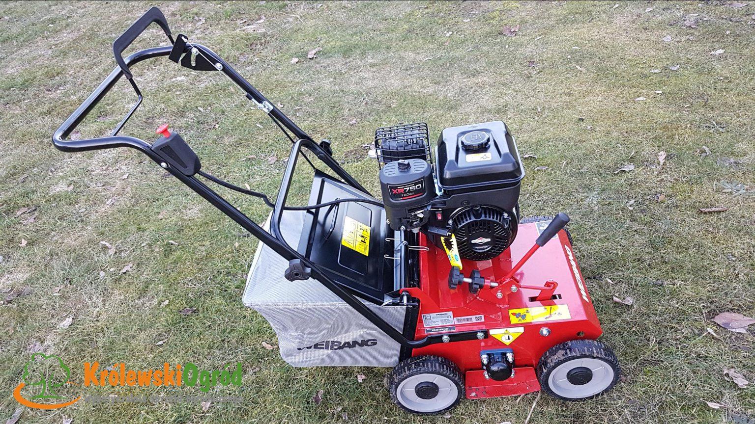 Weibang WB384RB na wynajem