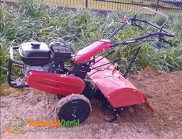 Cedrus GLX680 na wynajem