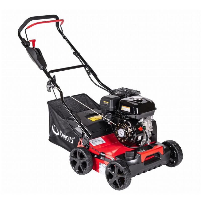 Cedrus WR01 na wynajem