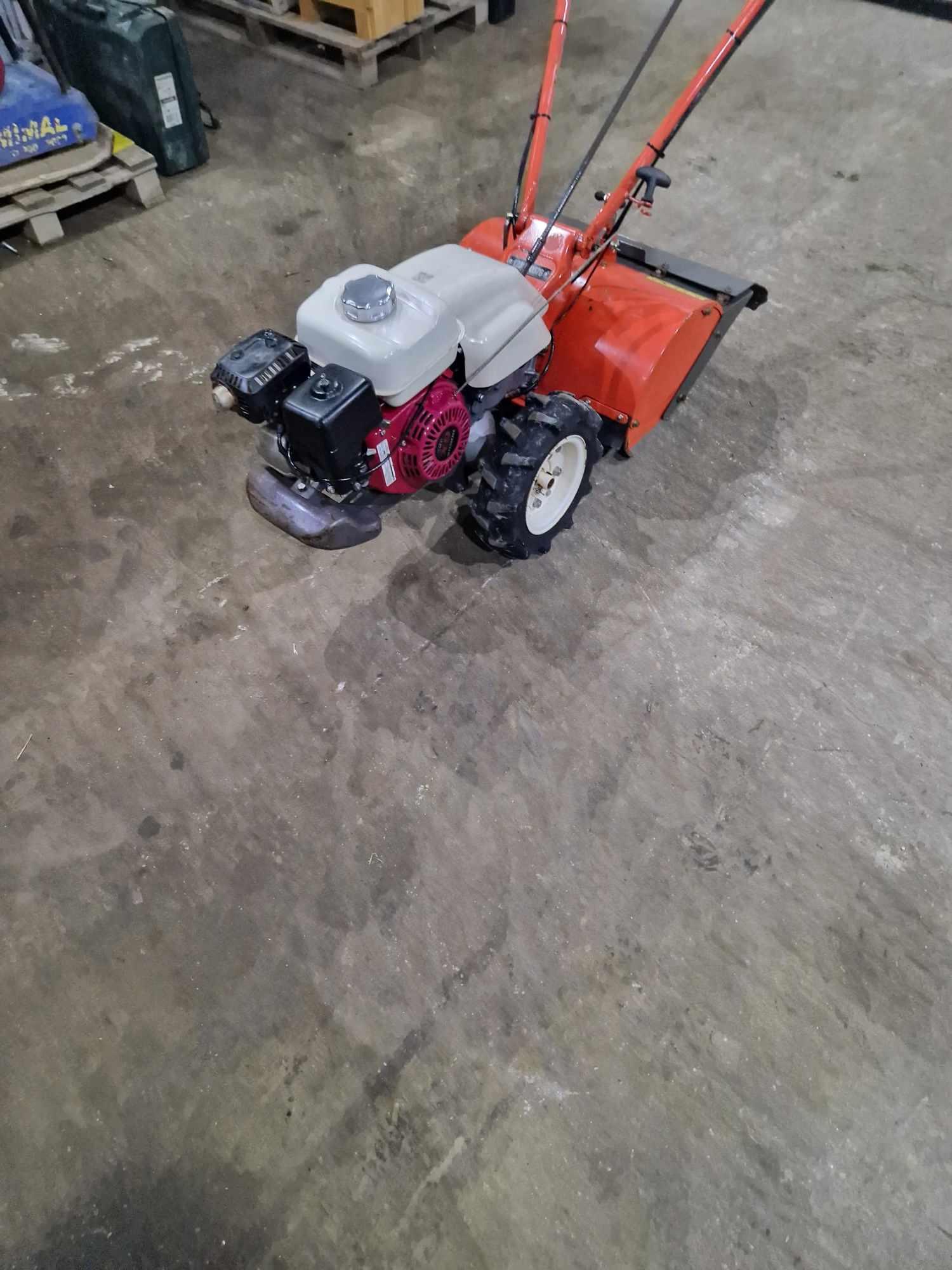 Glebogryzarka z napędem HONDA na wynajem