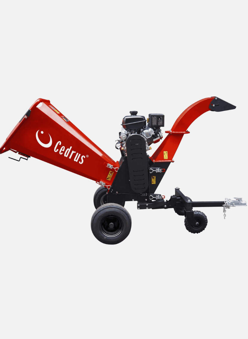Cedrus Rb04 PRO na wynajem