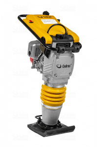 Cedrus Skoczek  na wynajem