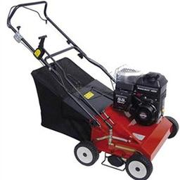 MARINA Wertykulator  na wynajem