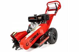 Cedrus FR01 na wynajem