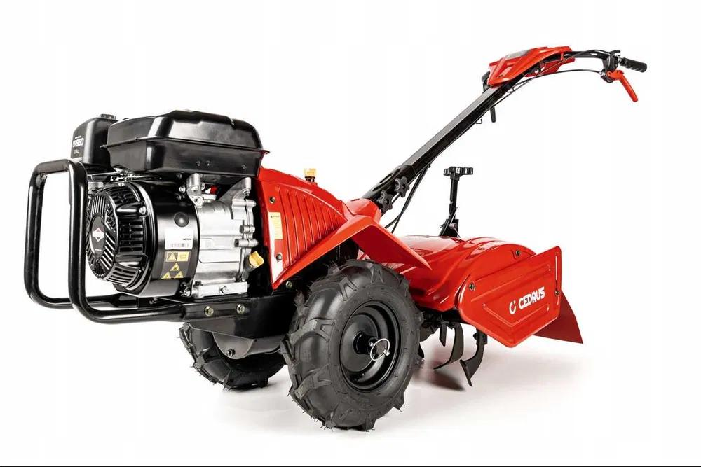 Cedrus GLX-GT65 z napędem 6,5KM 50cm na wynajem