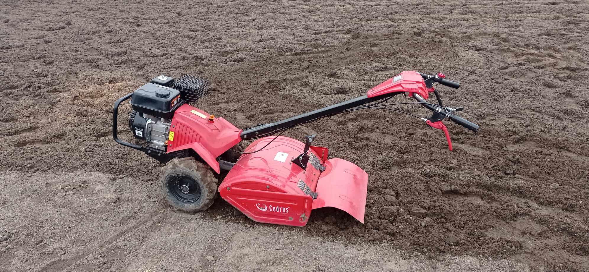 Cedrus glx-65 na wynajem - 1