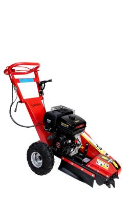 cedrus  FR01 na wynajem