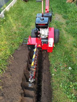 cedrus  kp01 na wynajem