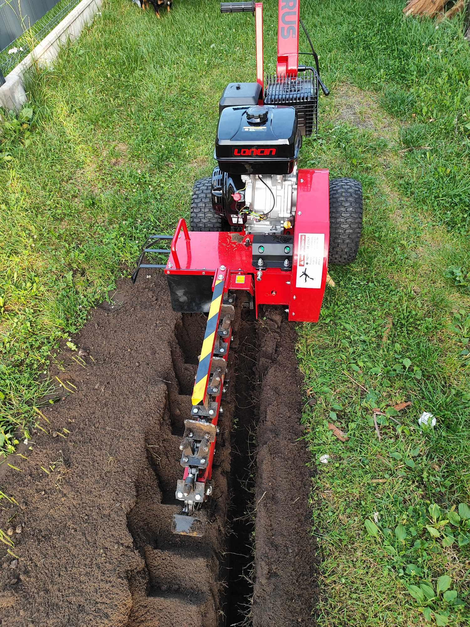 cedrus kp01 na wynajem