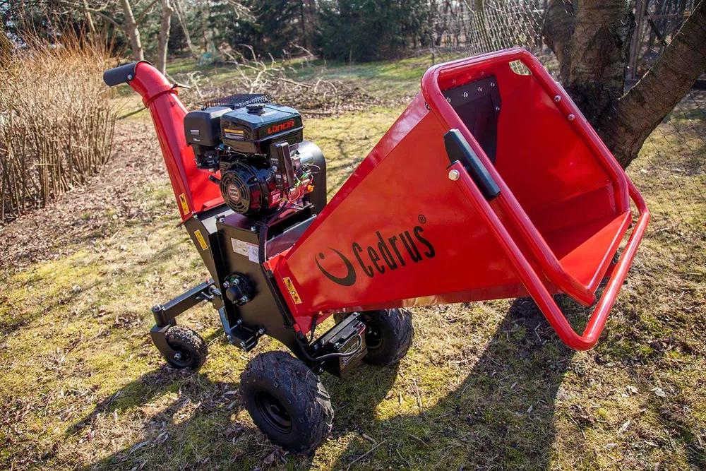 Cedrus Rębak Cedrus RB-04 na wynajem
