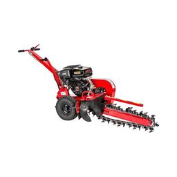 Cedrus  KP01 na wynajem