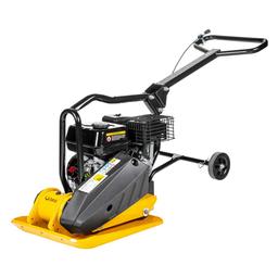 CEDRUS  ZG02 na wynajem