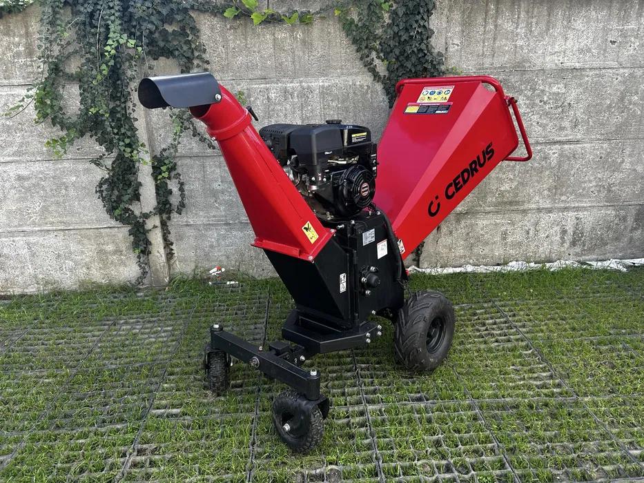 Cedrus RB04 PRO-E na wynajem