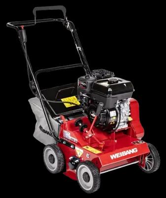 WEIBANG WB384RB na wynajem - 1