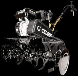 CEDRUS  80CM³ na wynajem