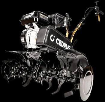 CEDRUS 80CM³ na wynajem