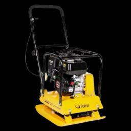 CEDRUS 96KG na wynajem