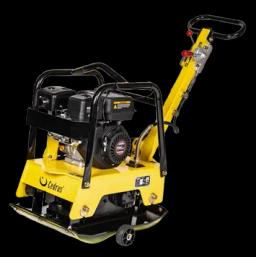 CEDRUS 122KG na wynajem