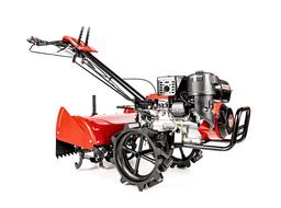 Cedrus CEDRUS GLX 540 na wynajem