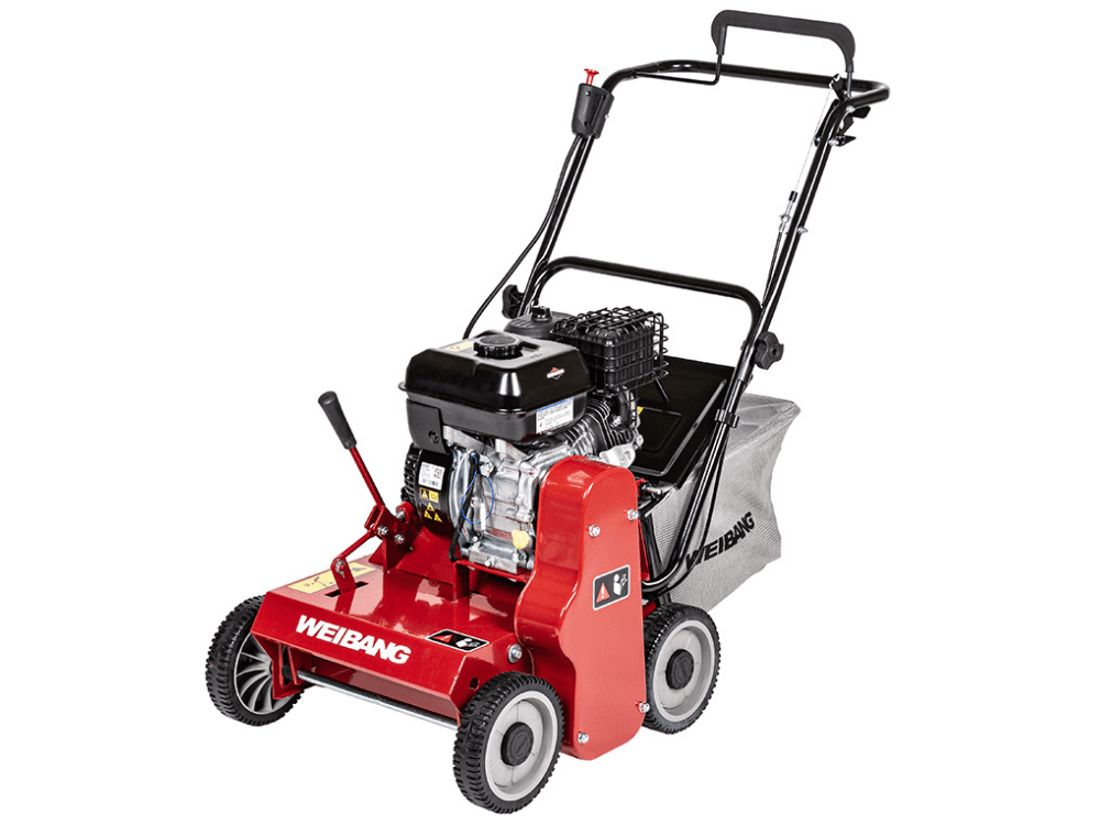 Weibang WB384RB na wynajem