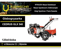 Glebogryzarka spalinowa CEDRUS GLX540 7KM z napędem na wynajem