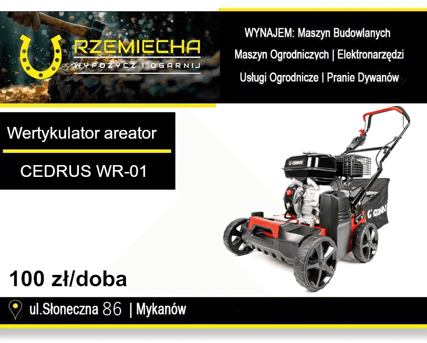 Wertykulator areator spalinowy CEDRUS WR-01 na wynajem