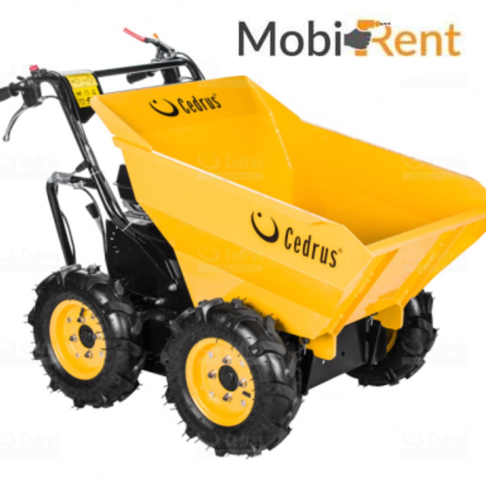 Cedrus RT300 na wynajem
