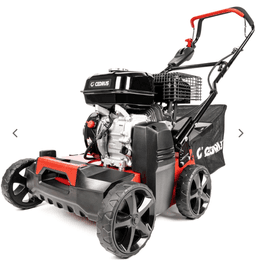 CEDRUS WR01-B na wynajem