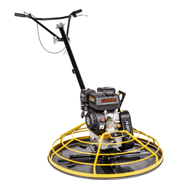 CEDRUS ZC01 60cm na wynajem - 1