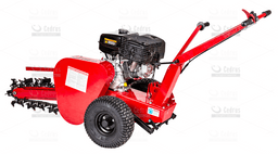 cedrus  KP01 na wynajem